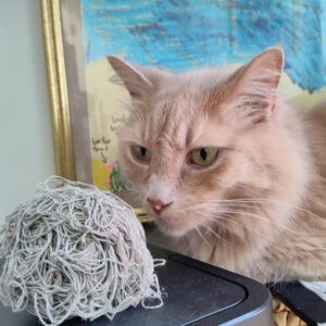 This has so much potential.