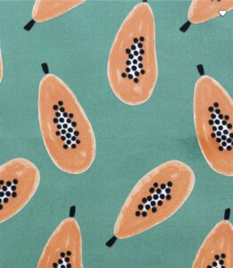 Papaya - Solarium Fabric