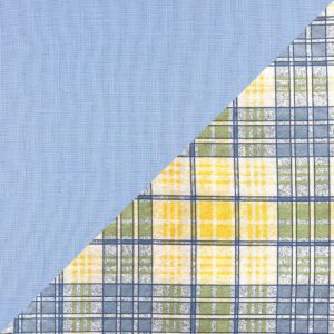 Gouache Linen with Kitchen Plaid Cotton