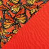 Butterflies on Coral