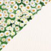 Daisies on White