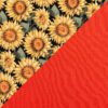 Sunflower on Coral